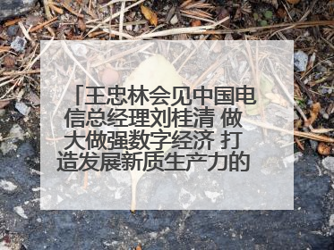 王忠林会见中国电信总经理刘桂清 做大做强数字经济 打造发展新质生产力的强劲引擎