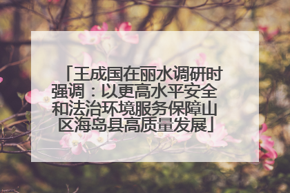 王成国在丽水调研时强调：以更高水平安全和法治环境服务保障山区海岛县高质量发展
