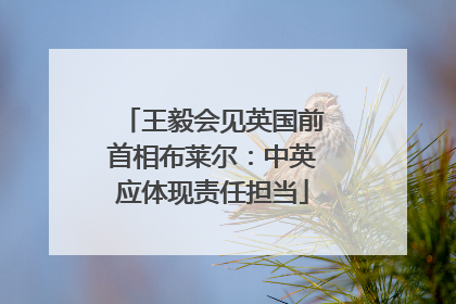 王毅会见英国前首相布莱尔：中英应体现责任担当