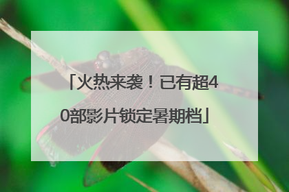 火热来袭！已有超40部影片锁定暑期档