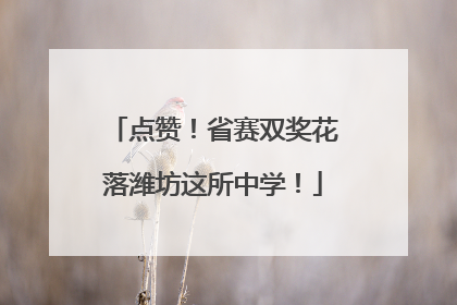 点赞！省赛双奖花落潍坊这所中学！