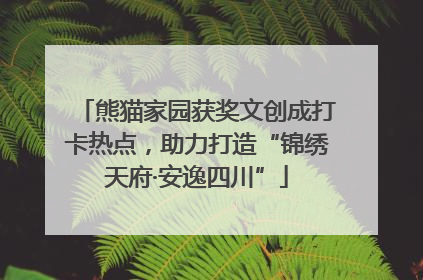 熊猫家园获奖文创成打卡热点，助力打造“锦绣天府·安逸四川”