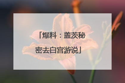 爆料：盖茨秘密去白宫游说