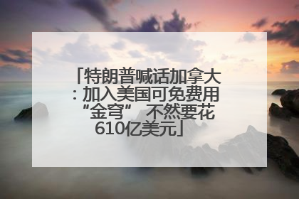 特朗普喊话加拿大：加入美国可免费用“金穹” 不然要花610亿美元