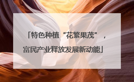 特色种植“花繁果茂”，富民产业释放发展新动能