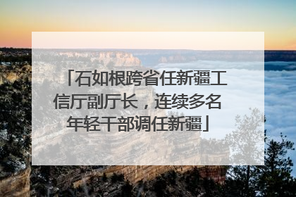 石如根跨省任新疆工信厅副厅长，连续多名年轻干部调任新疆
