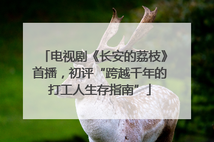 电视剧《长安的荔枝》首播，初评“跨越千年的打工人生存指南”