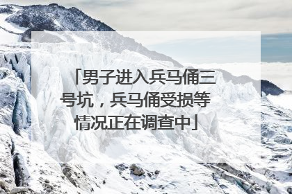 男子进入兵马俑三号坑，兵马俑受损等情况正在调查中