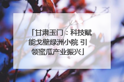 甘肃玉门：科技赋能戈壁绿洲小院 引领蜜瓜产业振兴