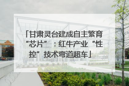 甘肃灵台建成自主繁育“芯片”：红牛产业“性控”技术弯道超车