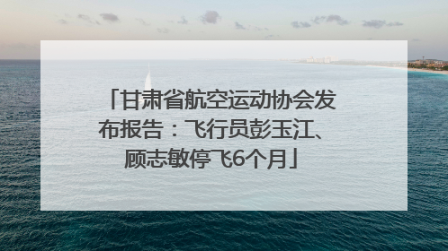 甘肃省航空运动协会发布报告：飞行员彭玉江、顾志敏停飞6个月