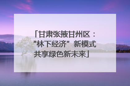 甘肃张掖甘州区：“林下经济”新模式 共享绿色新未来