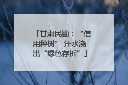 甘肃民勤：“信用种树” 汗水浇出“绿色存折”