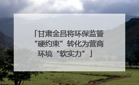 甘肃金昌将环保监管“硬约束”转化为营商环境“软实力”