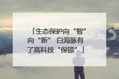 生态保护向“智”向“新” 白海豚有了高科技“保镖”