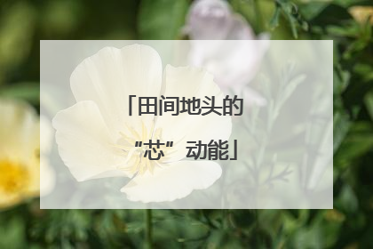 田间地头的“芯”动能