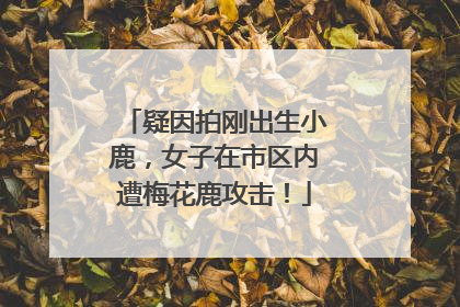 疑因拍刚出生小鹿，女子在市区内遭梅花鹿攻击！