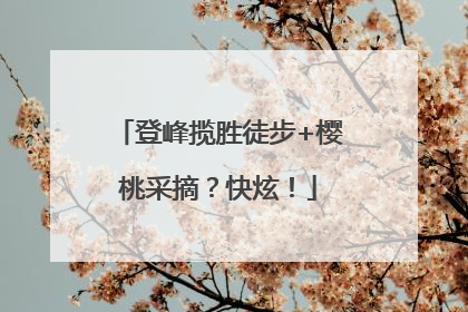 登峰揽胜徒步+樱桃采摘？快炫！
