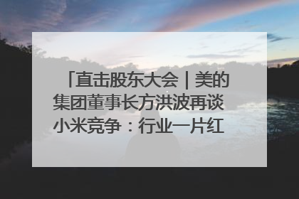 直击股东大会｜美的集团董事长方洪波再谈小米竞争：行业一片红海，打法已固定，无论谁胜都是消耗战
