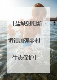 盐城射阳新坍镇加强乡村生态保护