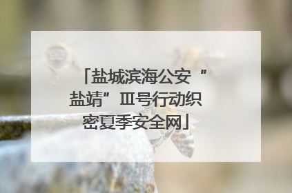 盐城滨海公安“盐靖”Ⅲ号行动织密夏季安全网