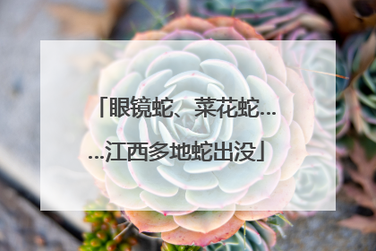 眼镜蛇、菜花蛇……江西多地蛇出没