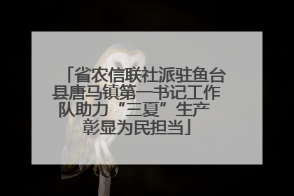 省农信联社派驻鱼台县唐马镇第一书记工作队助力“三夏”生产 彰显为民担当