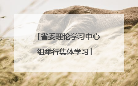 省委理论学习中心组举行集体学习