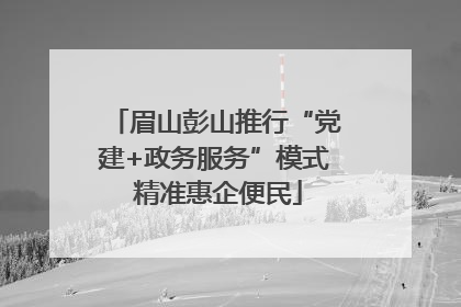 眉山彭山推行“党建+政务服务”模式 精准惠企便民