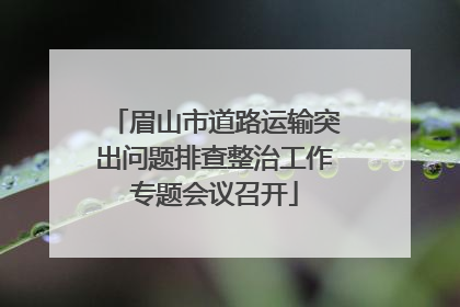 眉山市道路运输突出问题排查整治工作专题会议召开