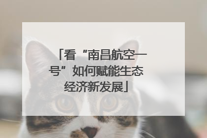 看“南昌航空一号”如何赋能生态经济新发展