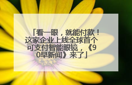 看一眼，就能付款！这家企业上线全球首个可支付智能眼镜，《90早新闻》来了