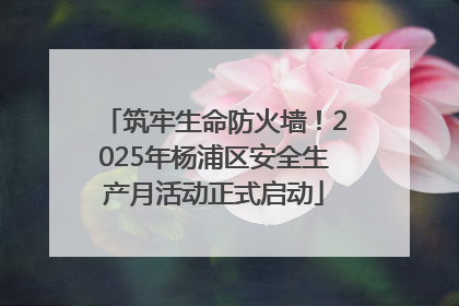 筑牢生命防火墙！2025年杨浦区安全生产月活动正式启动