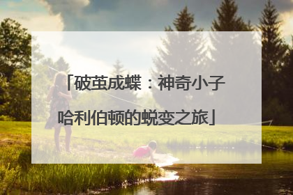 破茧成蝶：神奇小子哈利伯顿的蜕变之旅