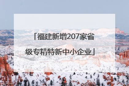 福建新增207家省级专精特新中小企业