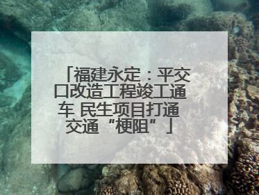 福建永定：平交口改造工程竣工通车 民生项目打通交通“梗阻”