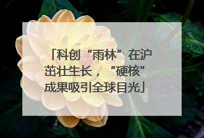 科创“雨林”在沪茁壮生长，“硬核”成果吸引全球目光