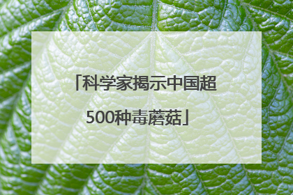科学家揭示中国超500种毒蘑菇