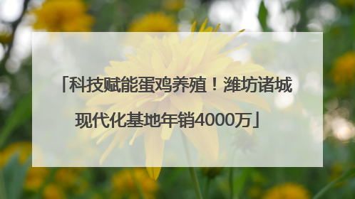 科技赋能蛋鸡养殖！潍坊诸城现代化基地年销4000万