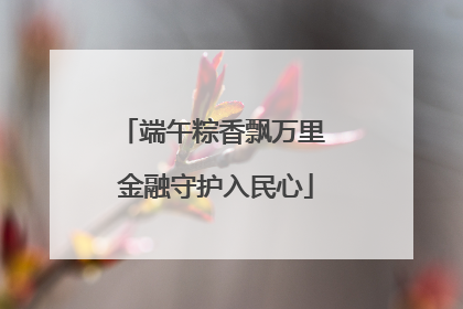 端午粽香飘万里 金融守护入民心