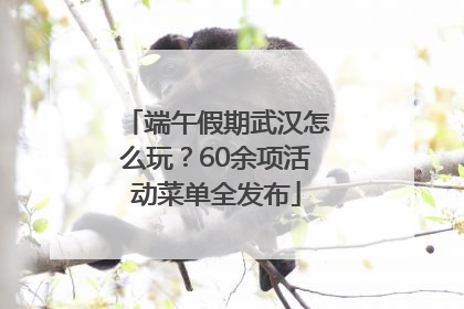 端午假期武汉怎么玩？60余项活动菜单全发布