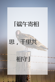 端午寄相思，千里共相守