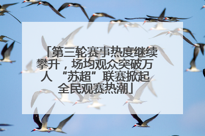 第三轮赛事热度继续攀升，场均观众突破万人 “苏超”联赛掀起全民观赛热潮