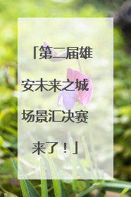 第二届雄安未来之城场景汇决赛来了！