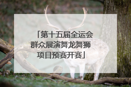 第十五届全运会群众展演舞龙舞狮项目预赛开赛