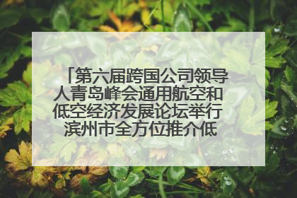第六届跨国公司领导人青岛峰会通用航空和低空经济发展论坛举行 滨州市全方位推介低空经济发展优势