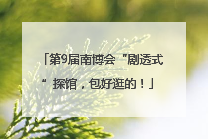 第9届南博会“剧透式”探馆，包好逛的！