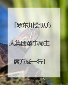 罗东川会见方大集团董事局主席方威一行