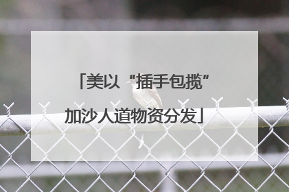美以“插手包揽”加沙人道物资分发
