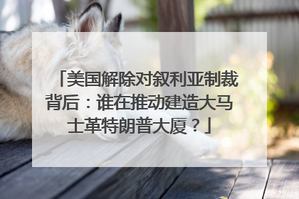 美国解除对叙利亚制裁背后：谁在推动建造大马士革特朗普大厦？
